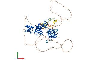 Protein Structure (PS) image for Homolog of Yeast RecQ-mediated Genome Instability 1 (RMI1) (AA 1-625) protein (His tag) (ABIN7555245)
