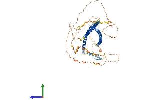 AlphaFold protein structure predicition of Human Recombinant TBKBP1 Protein, UniprotID A7MCY6