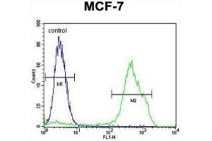 RNF19B Antibody (Center) flow cytometric analysis of MCF-7 cells (right histogram) compared to a negative control cell (left histogram). (RNF19B antibody  (Middle Region))
