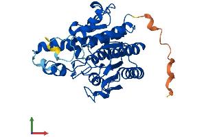AlphaFold protein structure predicition of Human Recombinant HDAC11 Protein, UniprotID Q96DB2 (HDAC11 Protein (AA 1-347) (His tag))