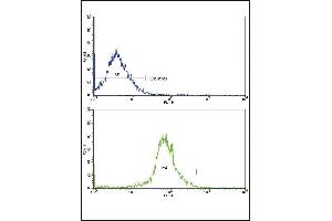 Flow cytometric analysis of HepG2 cells using RT Antibody (N-term)(bottom histogram) compared to a negative control cell (top histogram). (APRT antibody  (N-Term))