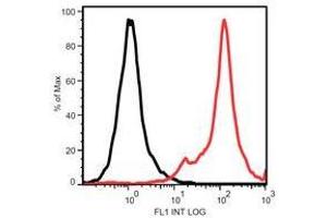 Flow Cytometry (FACS) image for anti-STRO-1 antibody (ABIN781729) (STRO-1 antibody)