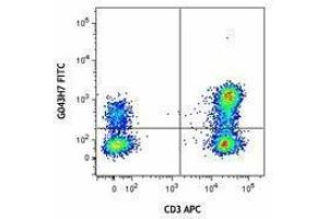 Flow Cytometry (FACS) image for anti-Chemokine (C-C Motif) Receptor 7 (CCR7) antibody (FITC) (ABIN2661556) (CCR7 antibody  (FITC))