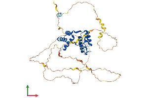 AlphaFold protein structure predicition of Human Recombinant DUX4 Protein, UniprotID Q9UBX2