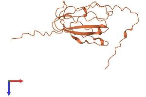 AlphaFold protein structure predicition of Human Recombinant KIF25-AS1 Protein, UniprotID Q9Y6Z4 (KIF25-AS1 Protein (AA 1-181) (His tag))
