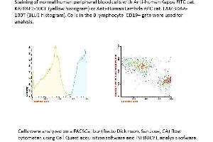 Image no. 1 for anti-lambda antibody (APC) (ABIN1112414) (lambda antibody (APC))