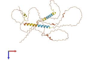 AlphaFold protein structure predicition of Mouse Recombinant Tex24 Protein, UniprotID Q5DP50 (Tex24 Protein (AA 1-351) (His tag))