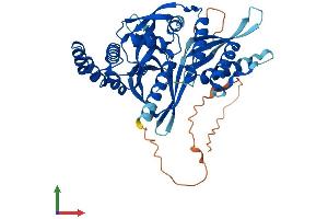 AlphaFold protein structure predicition of Mouse Recombinant Snx31 Protein, UniprotID Q6P8Y7