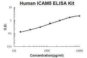 Human ICAM5 PicoKine ELISA Kit standard curve