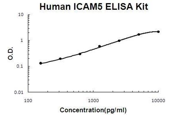 ICAM5 Kit ELISA
