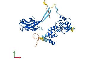 AlphaFold protein structure predicition of Mouse Recombinant Spopl Protein, UniprotID Q2M2N2