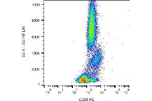 Flow cytometry analysis (surface staining) of human peripheral blood cells with anti-CD55 (MEM-118) PE. (CD55 antibody  (PE))
