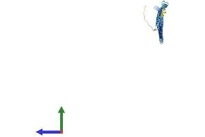 AlphaFold protein structure predicition of Mouse Recombinant Ccdc172 Protein, UniprotID Q810N9