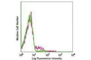 Flow Cytometry (FACS) image for anti-Integrin alpha M (ITGAM) antibody (FITC) (ABIN2661485) (CD11b antibody  (FITC))