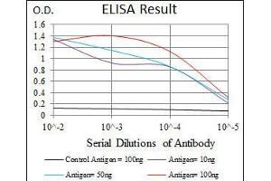 Black line: Control Antigen (100 ng), Purple line: Antigen(10 ng), Blue line: Antigen (50 ng), Red line: Antigen (100 ng), (RAP1A antibody)