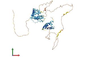 Protein Structure (PS) image for Heterogeneous Nuclear Ribonucleoprotein K (HNRNPK) (AA 1-463) protein (His tag) (ABIN7563497)