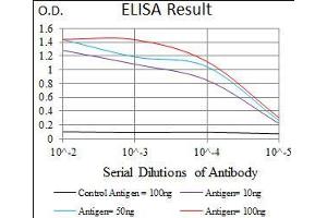 Black line: Control Antigen (100 ng), Purple line: Antigen(10 ng), Blue line: Antigen (50 ng), Red line: Antigen (100 ng), (MRPL42 antibody  (AA 142-203))