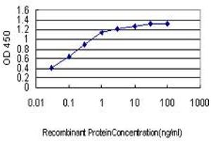 Detection limit for recombinant GST tagged JPH1 is approximately 0. (Junctophilin 1 antibody  (AA 501-579))