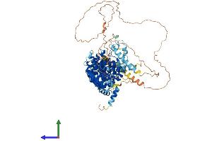 AlphaFold protein structure predicition of Mouse Recombinant Terb1 Protein, UniprotID Q8C0V1 (CCDC79 Protein (AA 1-768) (His tag))