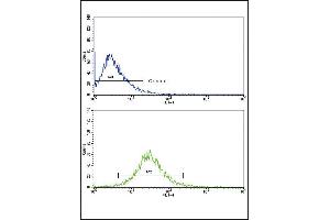 Flow cytometric analysis of HepG2 cells using MMP3 Antibody (bottom histogram) compared to a negative control cell (top histogram). (MMP3 antibody  (AA 298-327))