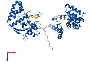 Regulator of G-Protein Signaling 7 (RGS7) (AA 1-469) protein (His tag)