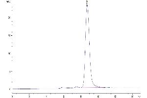 The purity of Human Alkaline Phosphatase is greater than 95 % as determined by SEC-HPLC. (Alkaline Phosphatase Protein (ALP) (AA 23-506) (His tag))