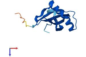 AlphaFold protein structure predicition of Mouse Recombinant Stfa3 Protein, UniprotID P35173 (Stefin A3 Protein (STFA3) (AA 1-103) (His tag))