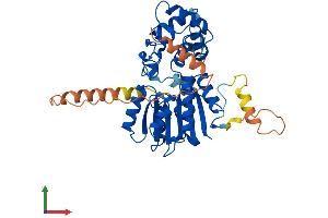 Protein Structure (PS) image for Methyltransferase 5 Domain Containing 1 (METT5D1) (AA 1-407) protein (His tag) (ABIN7549307)