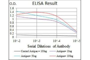 ELISA image for anti-Integrin beta 1 (ITGB1) antibody (ABIN1844059) (ITGB1 antibody)