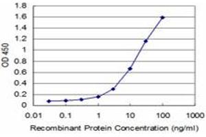 Detection limit for recombinant GST tagged MEF2BNB is approximately 1ng/ml as a capture antibody.