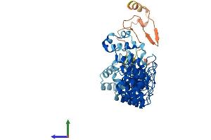 AlphaFold protein structure predicition of Human Recombinant ASB18 Protein, UniprotID Q6ZVZ8