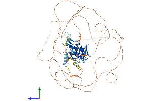 AlphaFold protein structure predicition of Human Recombinant ESCO1 Protein, UniprotID Q5FWF5