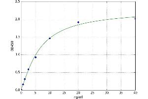Zona Pellucida Glycoprotein 3 (ZP3) ELISA Kit