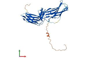 AlphaFold protein structure predicition of Human Recombinant VPS26B Protein, UniprotID Q4G0F5
