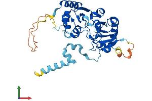 AlphaFold protein structure predicition of Human Recombinant CDC123 Protein, UniprotID O75794 (CDC123 Protein (AA 1-336) (His tag))