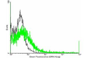 FACS analysis of negative control 293 cells (Black) and HLA-E expressing 293 cells (Green) using HLA-E purified MaxPab mouse polyclonal antibody. (HLA-E antibody  (AA 1-358))