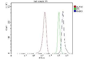 Flow Cytometry analysis of MCF-7 cells using anti-RAD50 antibody (ABIN7599857).