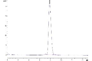 Size-exclusion chromatography-High Pressure Liquid Chromatography (SEC-HPLC) image for CD83 (CD83) (AA 20-143) protein (Fc Tag) (ABIN7274252)