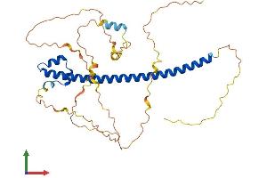 AlphaFold protein structure predicition of Human Recombinant MAFA Protein, UniprotID Q8NHW3 (MAFA Protein (AA 1-353) (His tag))