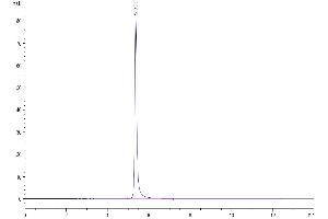 Size-exclusion chromatography-High Pressure Liquid Chromatography (SEC-HPLC) image for CD93 (CD93) (AA 22-580) protein (Fc Tag) (ABIN7274268)