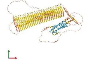 Protein Structure (PS) image for Perilipin 4 (PLIN4) (AA 1-1403) protein (His tag) (ABIN7562612)
