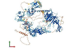 AlphaFold protein structure predicition of Human Recombinant USP47 Protein, UniprotID Q96K76 (USP47 Protein (AA 1-1375) (His tag))