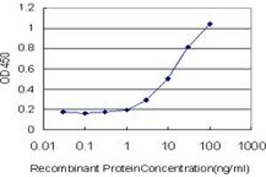 Detection limit for recombinant GST tagged MYO3A is approximately 1ng/ml as a capture antibody. (MYO3A antibody  (AA 1400-1490))