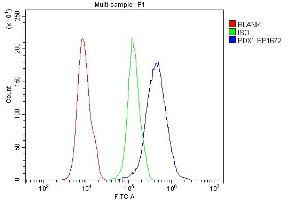 Flow Cytometry analysis of 293T cells using anti-PDX1 antibody (ABIN7601614). (PDX1 antibody  (AA 4-200))