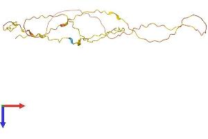 AlphaFold protein structure predicition of Human Recombinant KRTAP27-1 Protein, UniprotID Q3LI81 (KRTAP27-1 Protein (AA 1-207) (His tag))