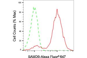anti-Sterile alpha Motif Domain Containing 9 (SAMD9) antibody