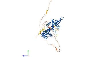 AlphaFold protein structure predicition of Human Recombinant MAGEA12 Protein, UniprotID P43365 (MAGEA12 Protein (AA 1-314) (His tag))