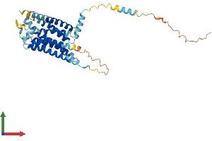 AlphaFold protein structure predicition of Mouse Recombinant Gpr62 Protein, UniprotID Q80UC6