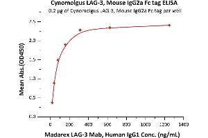 Immobilized Cynomolgus LAG-3, Mouse IgG2a Fc tag (ABIN5674617,ABIN6809975) at 2 μg/mL (100 μL/well) can bind Madarex LAG-3 Mab, Human IgG1 with a linear range of 20-78 ng/mL (QC tested).