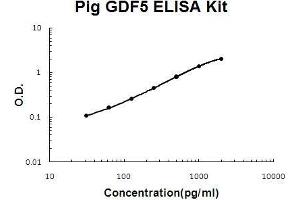 Pig GDF5 PicoKine ELISA Kit standard curve